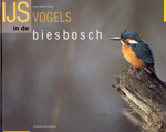 Ijsvogels in de Biesbosch